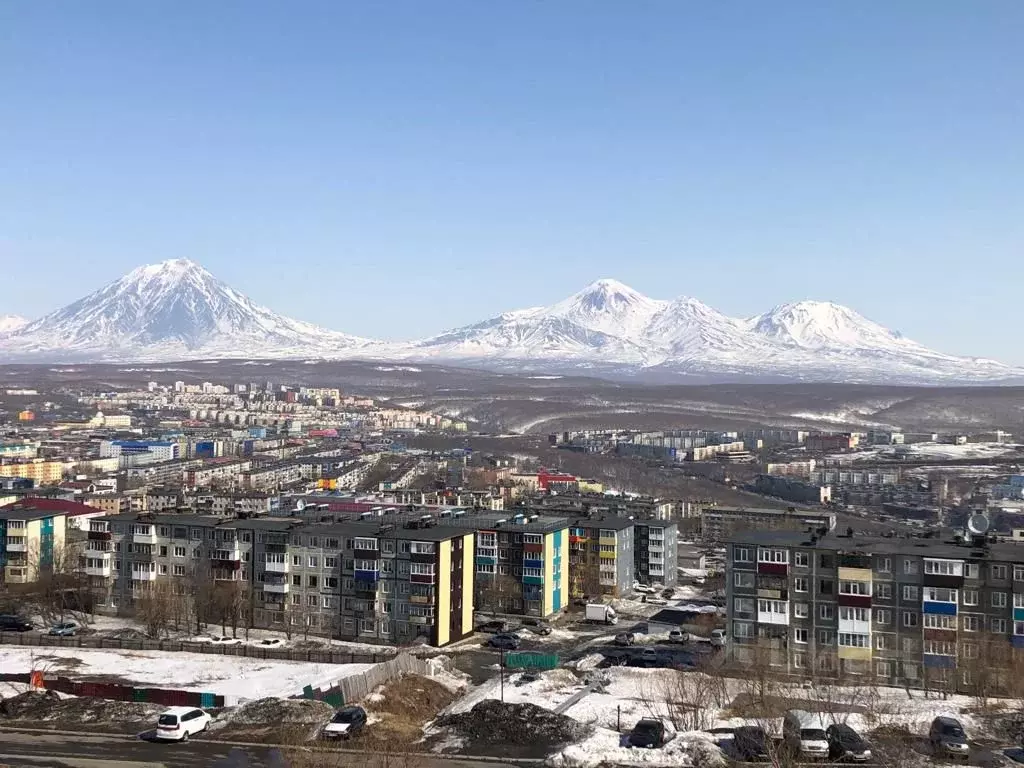 2-к кв. Камчатский край, Петропавловск-Камчатский ул. Автомобилистов, ... - Фото 0