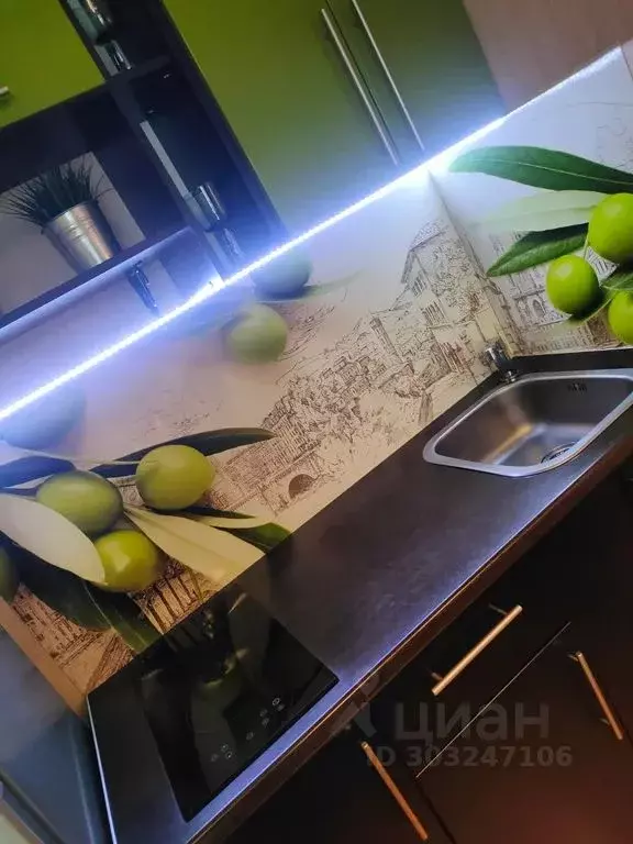 Студия Ленинградская область, Мурино Всеволожский район, просп. ... - Фото 2