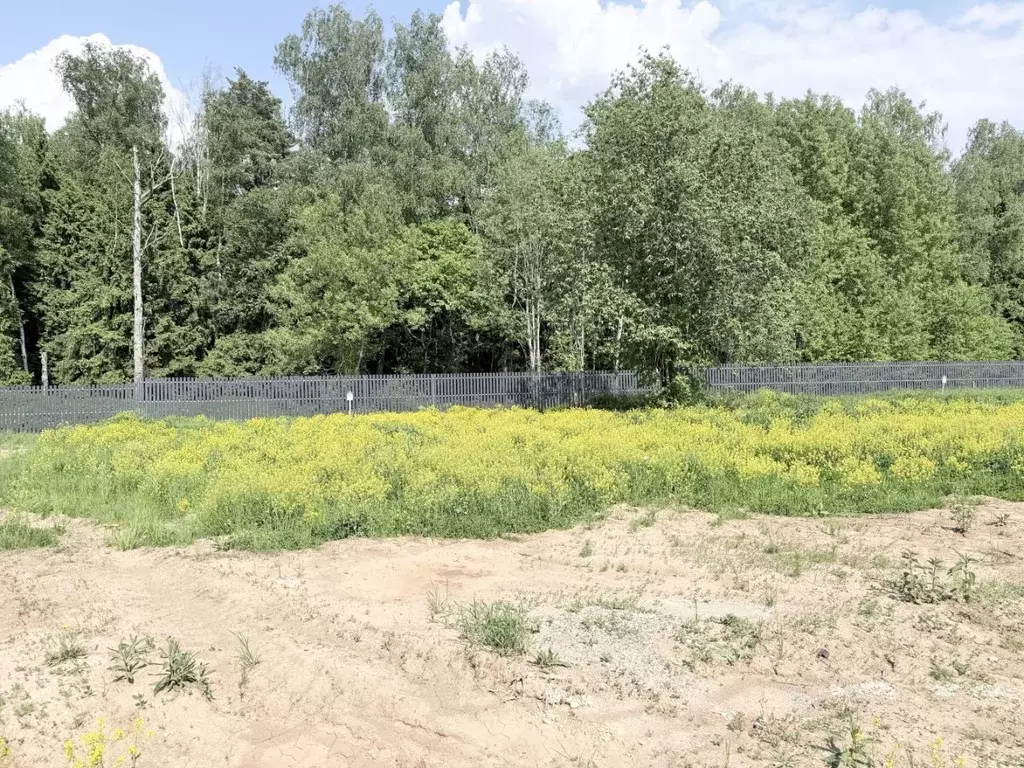 Участок в Московская область, Мытищи городской округ, Юрьево Парк кп  ... - Фото 0
