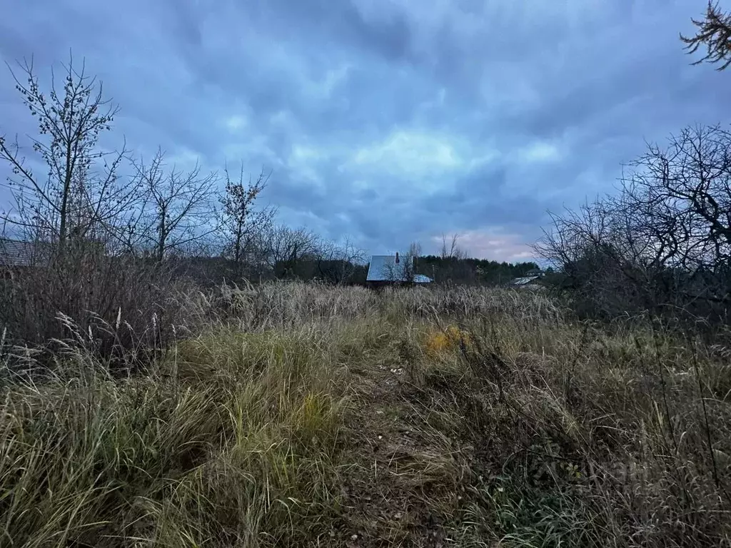 Участок в Тверская область, Калининский муниципальный округ, д. ... - Фото 2