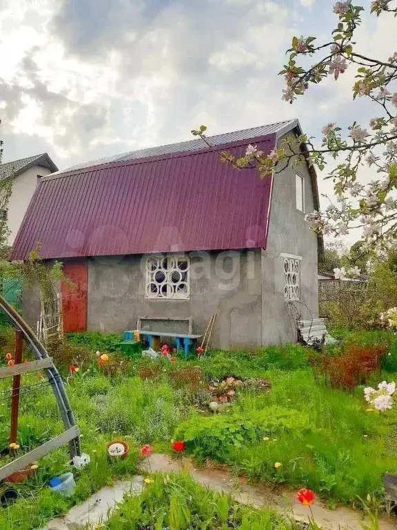 Дача 24 м на участке 6,2 сот. - Фото 0