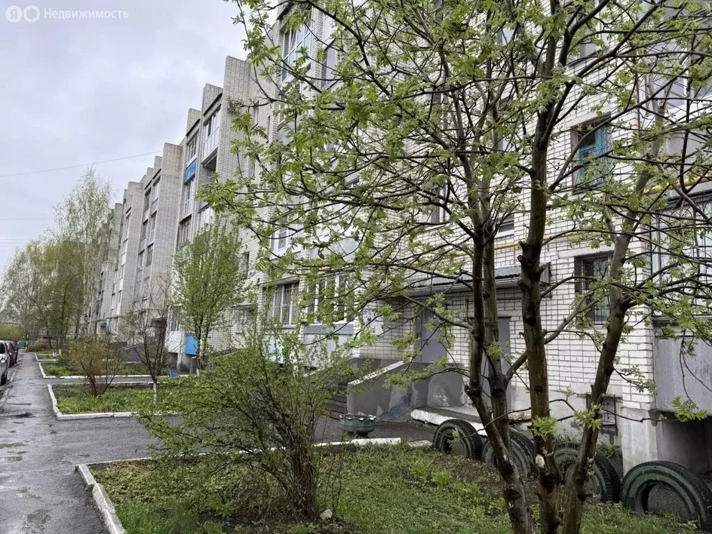 2-комнатная квартира: Курган, улица Макаренко, 96к1 (50.3 м) - Фото 1