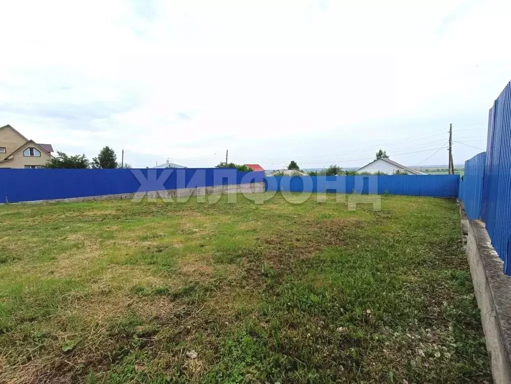 Участок в Новосибирская область, Колывань рп ул. Фрунзе (5.0 сот.) - Фото 1