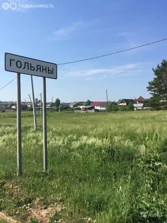 Участок в Завьяловский район, село Гольяны (35 м) - Фото 2