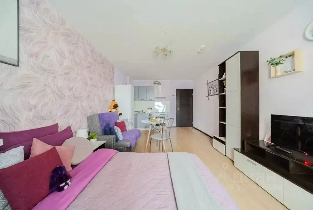 Студия Санкт-Петербург просп. Энергетиков, 9К1 (27.0 м) - Фото 1