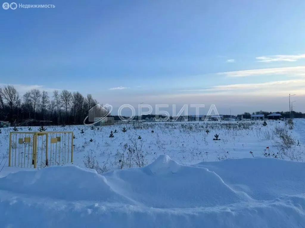 Участок в Тюмень, садовое товарищество Ясень (10 м) - Фото 1