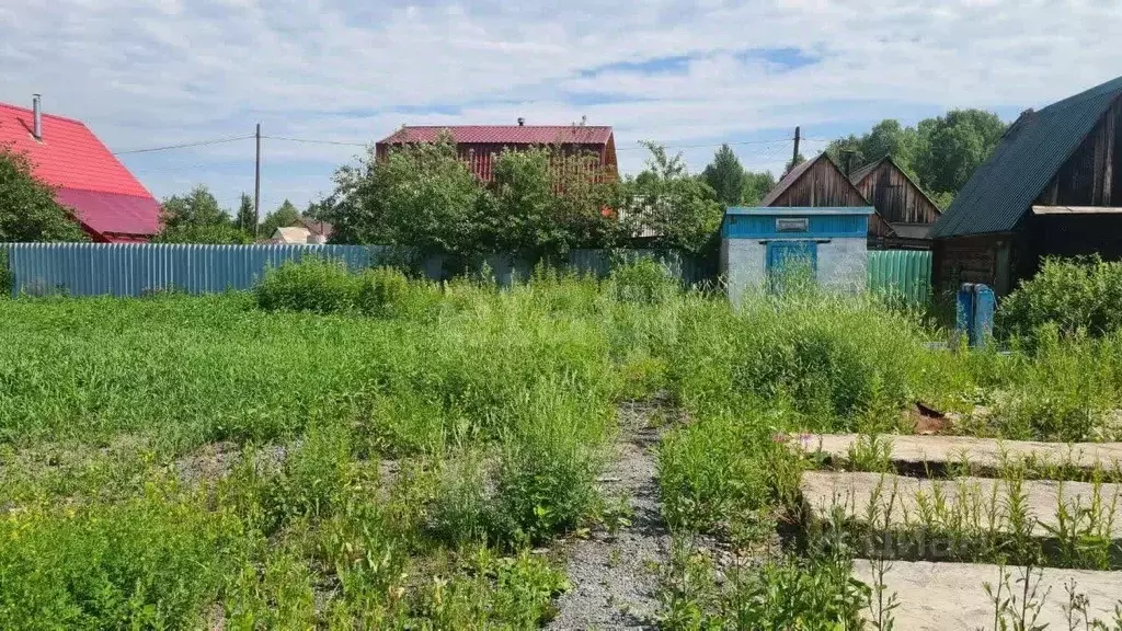 Участок в Тюменская область, Тюменский муниципальный округ, Березка-4 ... - Фото 1