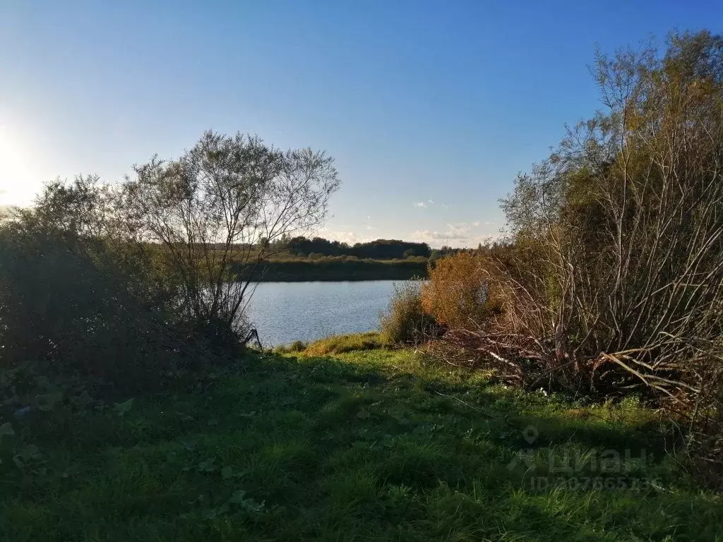 Участок в Новгородская область, Солецкий муниципальный округ, д. ... - Фото 1