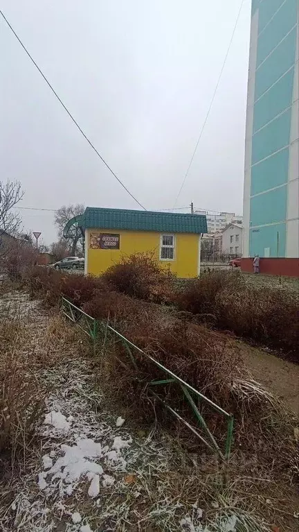 Торговая площадь в Смоленская область, Смоленск ул. Ударников, 34 (50 ... - Фото 0