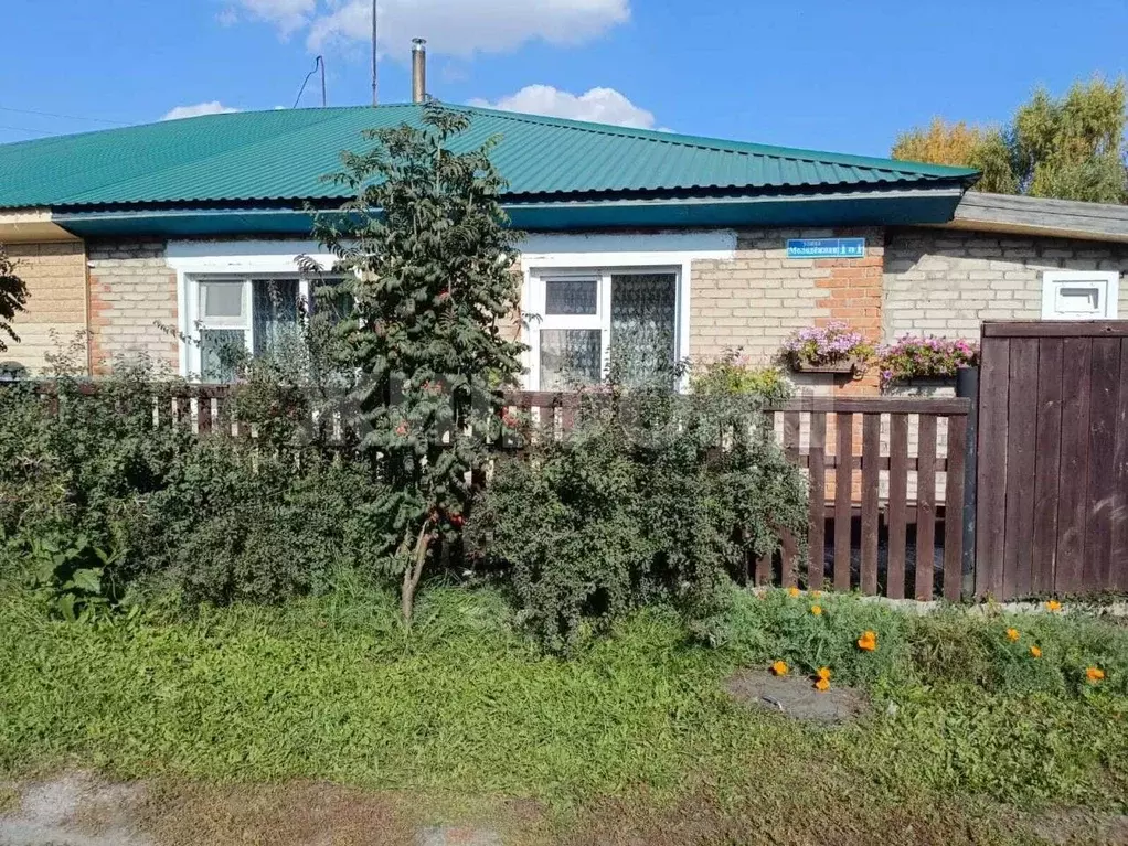 Дом в Новосибирская область, Краснозерское городское поселение, ... - Фото 0