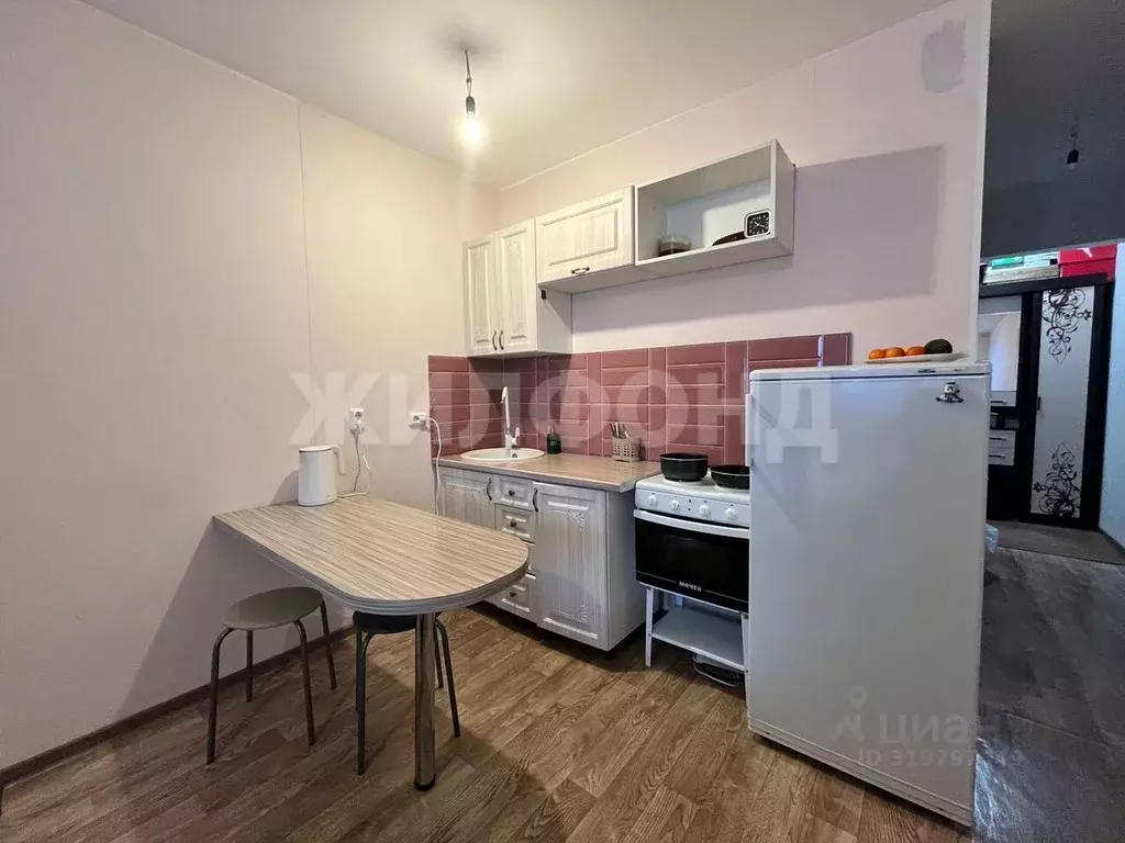 Студия Новосибирская область, Новосибирск ул. Забалуева, 90 (20.0 м) - Фото 0
