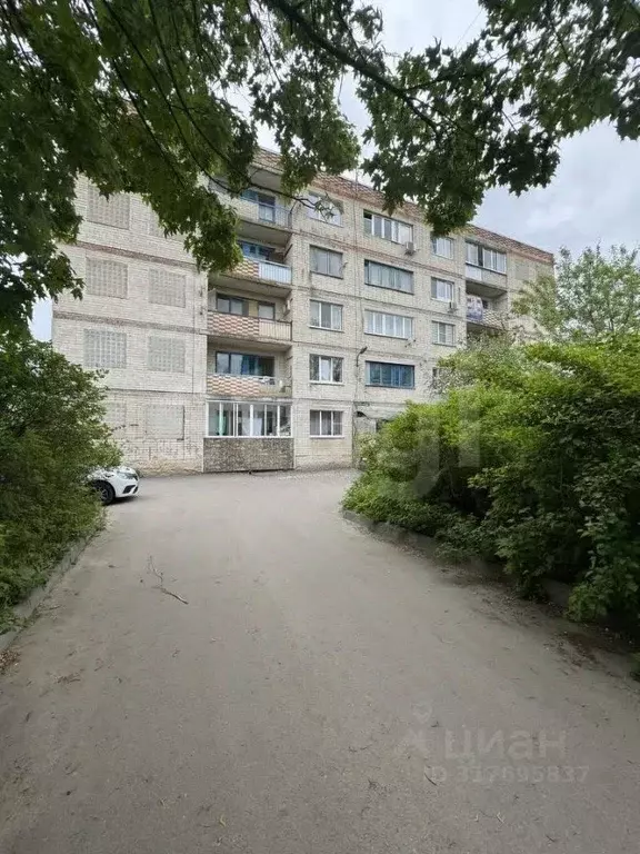 Комната Калужская область, Калуга ул. Платова, 40 (13.1 м) - Фото 1