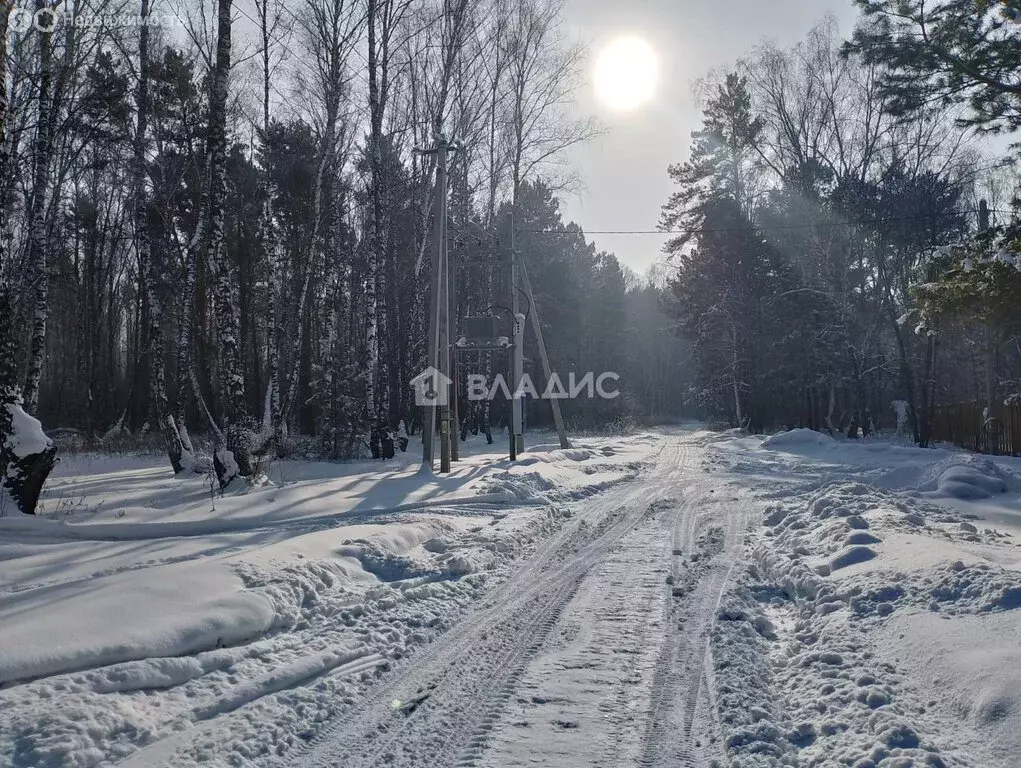 Участок в Кемеровский муниципальный округ, село Верхотомское (1 м) - Фото 1