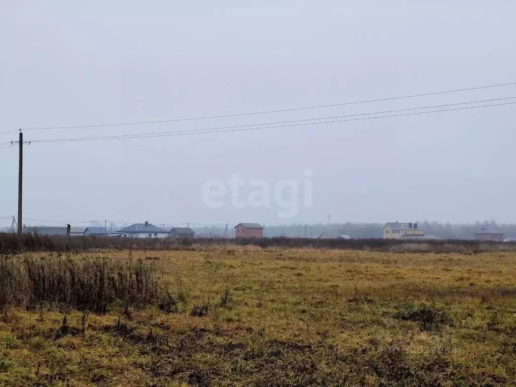 Участок в Марий Эл, Медведевский район, Руэмское с/пос, д. Ореховка ... - Фото 2