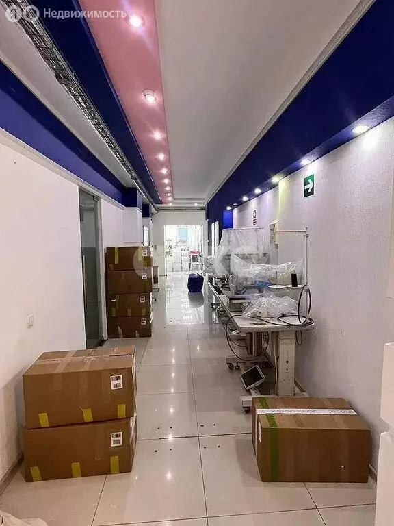 Помещение свободного назначения (673 м) - Фото 1