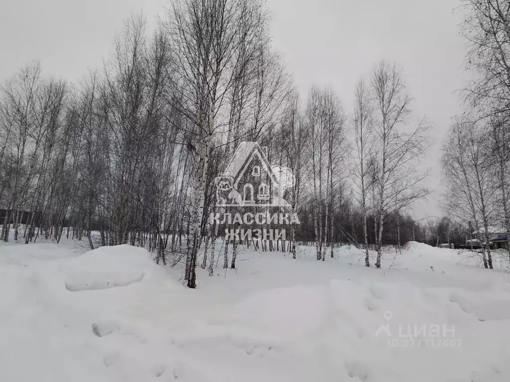 Участок в Нижегородская область, Бор Горелово мкр, 1-я ул. (8.0 сот.) - Фото 2