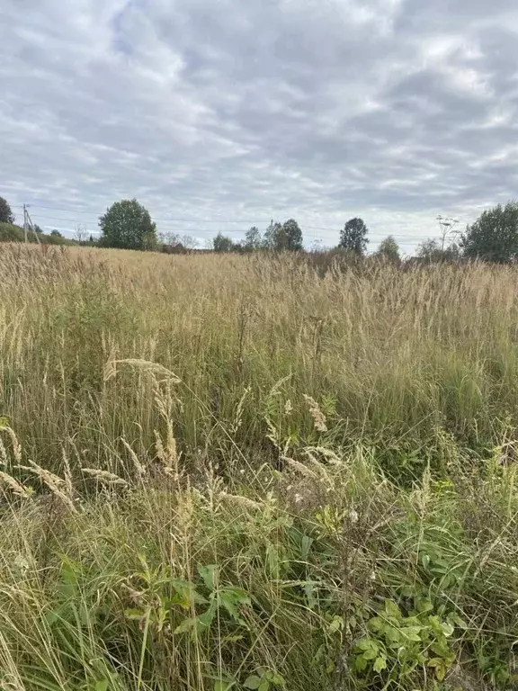 Участок в Московская область, Лотошино муниципальный округ, пос. ... - Фото 1