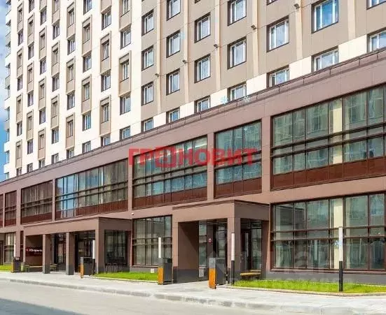 2-к кв. Новосибирская область, Новосибирск ул. Кирова, 113/2 (33.73 м) - Фото 0