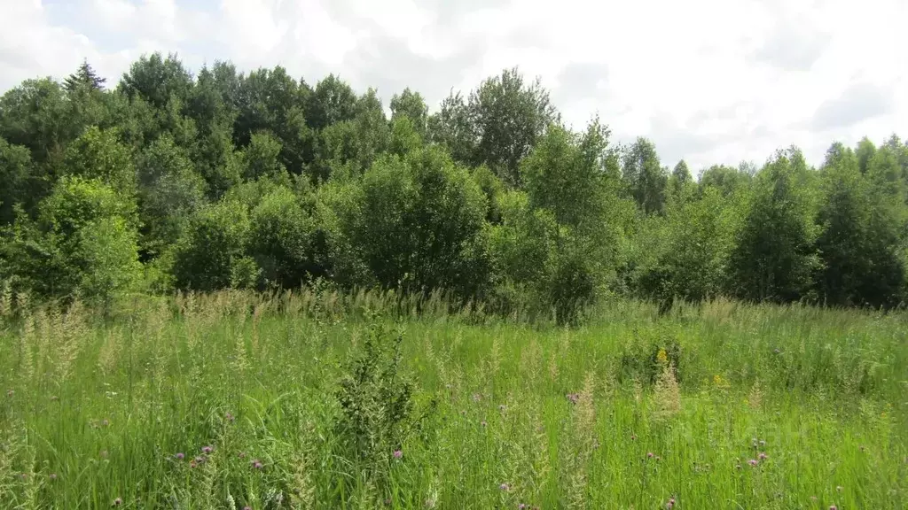 Участок в Московская область, Рузский муниципальный округ, пос. ... - Фото 1