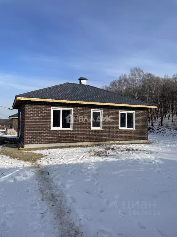 Дом в Амурская область, Благовещенский район, с. Чигири ул. Мира (70 ... - Фото 0