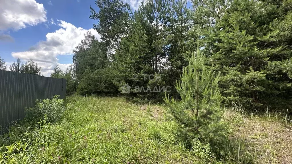 Участок в Московская область, Лосино-Петровский городской округ, д. ... - Фото 2