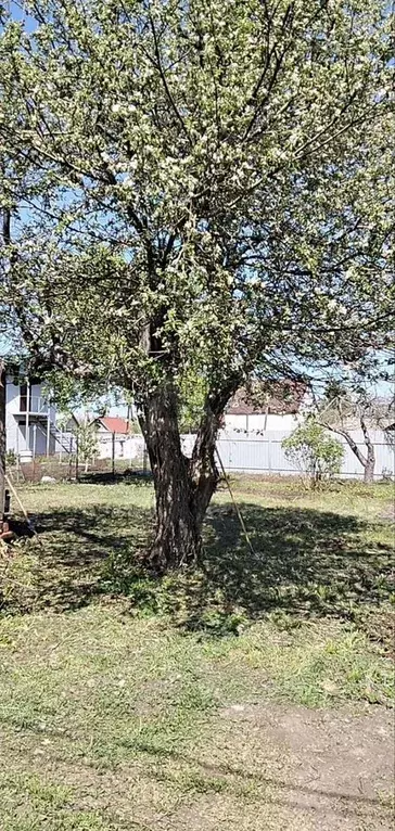 Участок 7 сот. (СНТ, ДНП) - Фото 1
