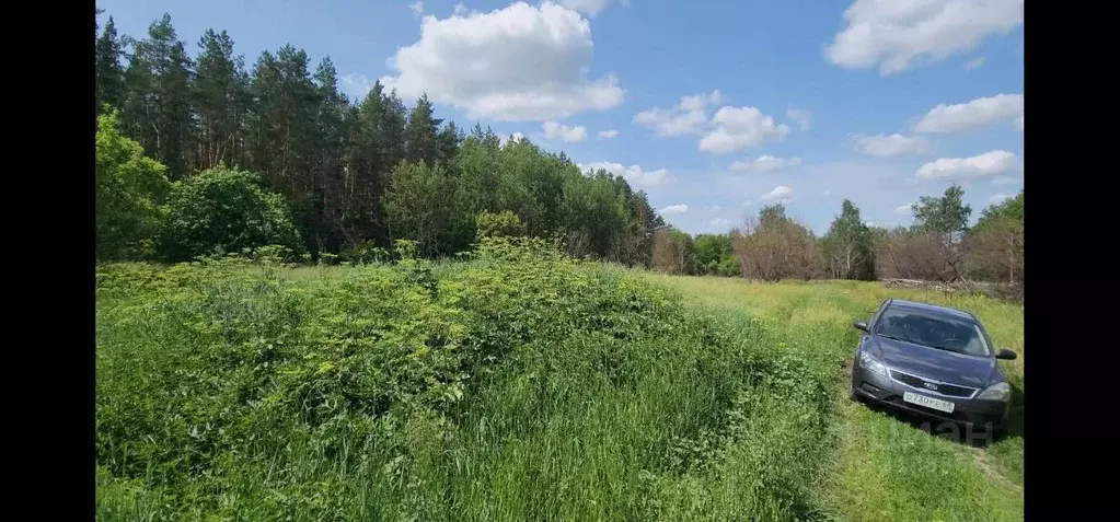 Участок в Тамбовская область, Мичуринский муниципальный округ, ... - Фото 1