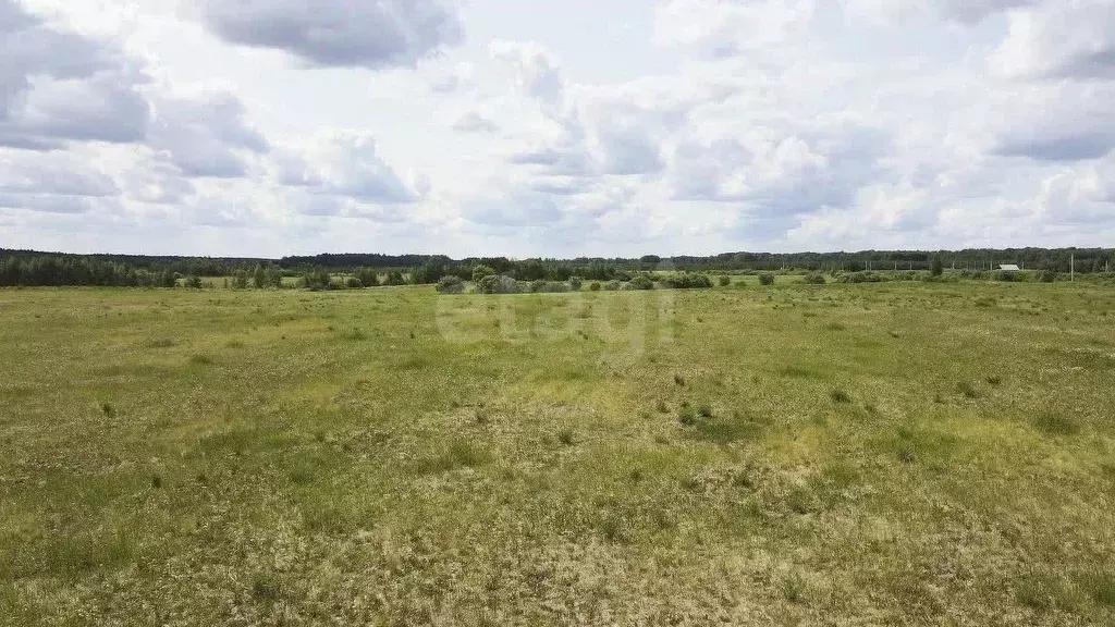 Участок в Свердловская область, Слободо-Туринский район, ... - Фото 1