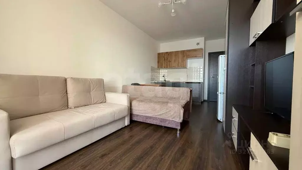 Студия Санкт-Петербург просп. Ветеранов, 175к4 (24.7 м) - Фото 1