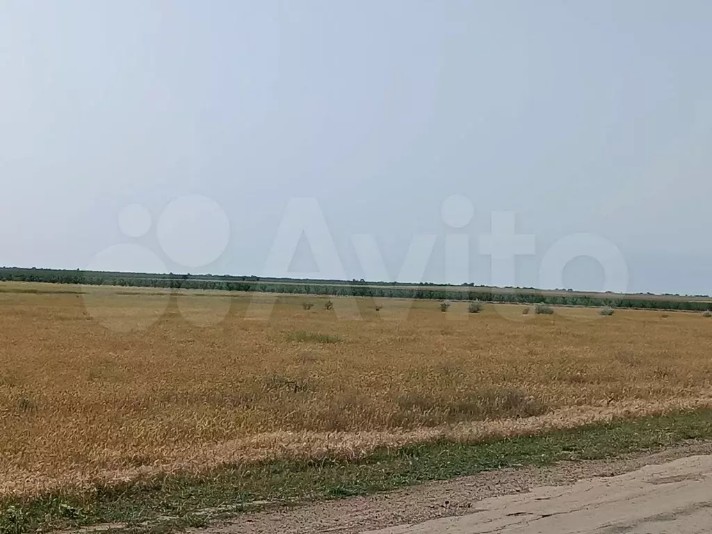 Участок 246,39 га (ИЖС) - Фото 0