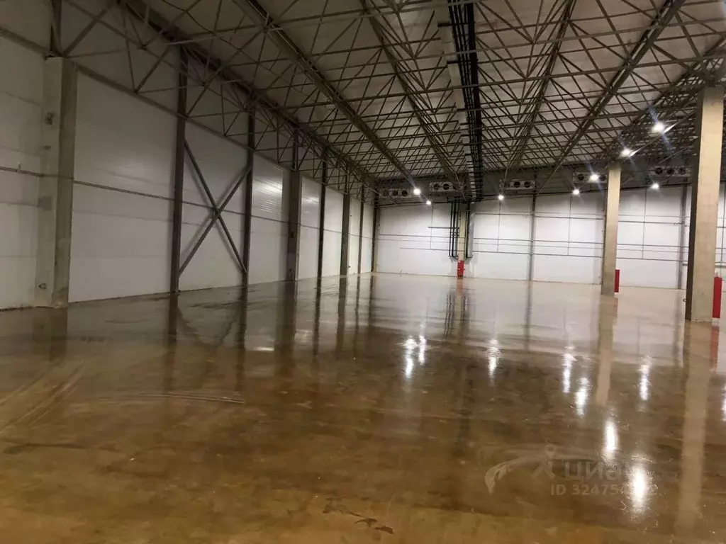 Склад в Ленинградская область, Ломоносовский район, Лаголовское с/пос, ... - Фото 2