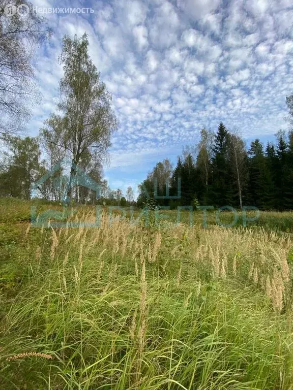 Участок в Калужская область, Боровский муниципальный округ, деревня ... - Фото 2