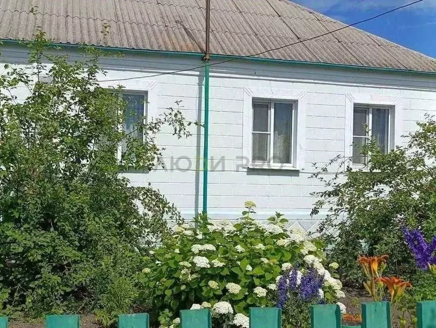 Дом в Воронежская область, с. Каширское ул. Космонавтов, 51 (85 м) - Фото 1