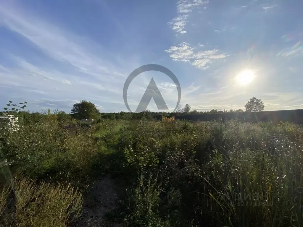 Участок в Краснодарский край, Апшеронск ул. Платова (10.18 сот.) - Фото 2