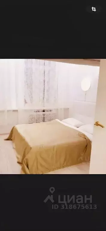 Комната Санкт-Петербург Малая Конюшенная ул., 12 (35.0 м) - Фото 0