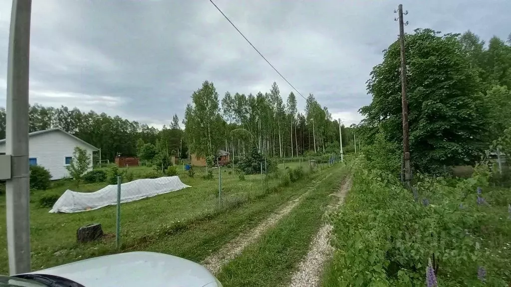 Участок в Нижегородская область, Дальнеконстантиновский муниципальный ... - Фото 2