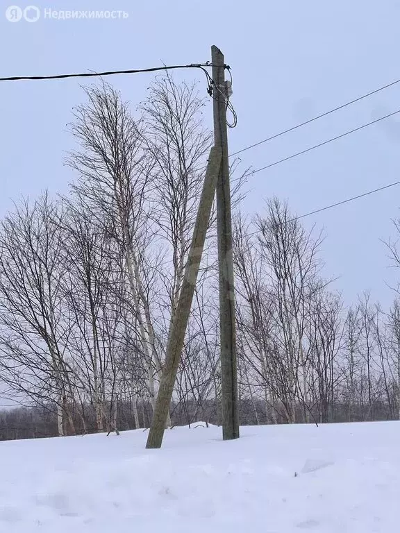 Участок в посёлок Светлый, микрорайон Молодёжный (10 м) - Фото 1