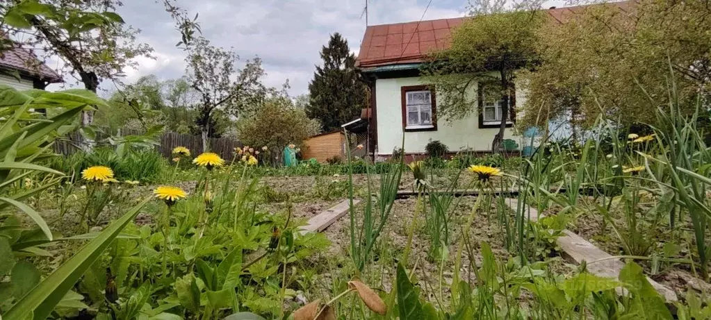 Дом в Московская область, Подольск городской округ, д. Большое Толбино ... - Фото 1