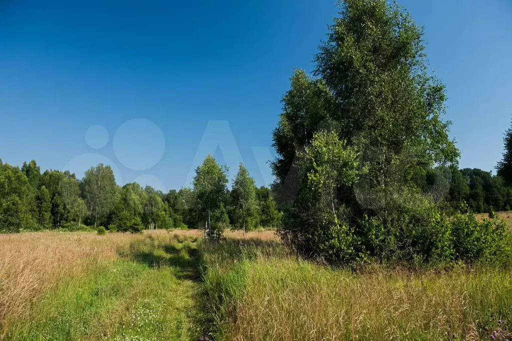 Участок 38 га (СНТ, ДНП) - Фото 0