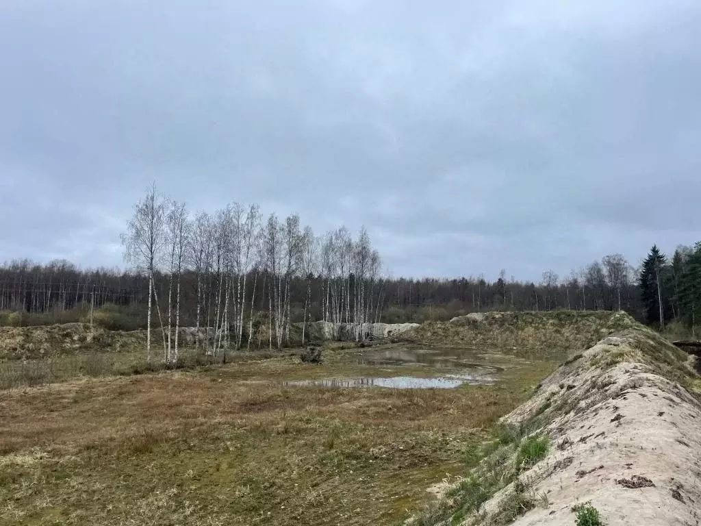 Участок в Ленинградская область, Всеволожский район, Свердловское ... - Фото 0