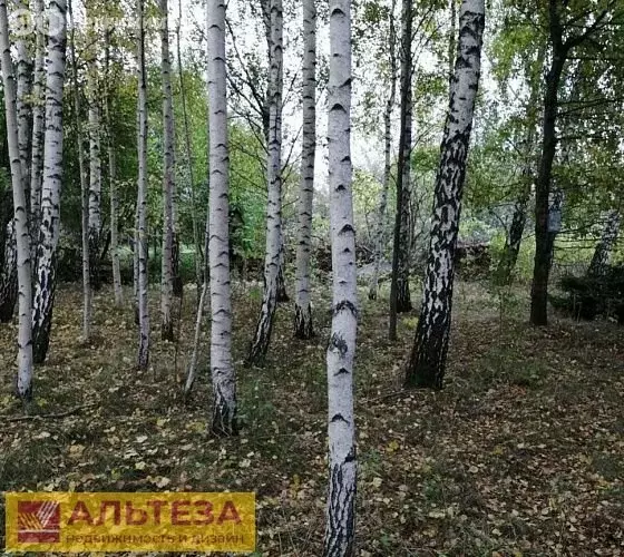 Участок в посёлок Малое Исаково, переулок Рожковского, 7 (10 м) - Фото 0