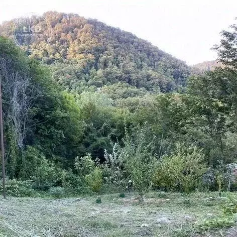 Участок в Краснодарский край, Туапсинский муниципальный округ, Алмаз ... - Фото 0