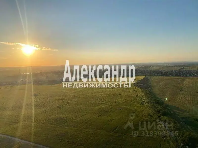 Участок в Ленинградская область, Волосовский район, Клопицкое с/пос, ... - Фото 1