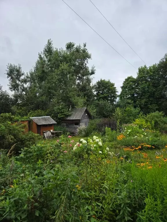 Участок в Ярославская область, Ростовский муниципальный округ, с. ... - Фото 1