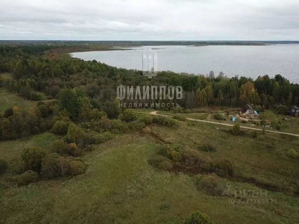 Участок в Новгородская область, Боровичский район, Железковское с/пос, ... - Фото 1