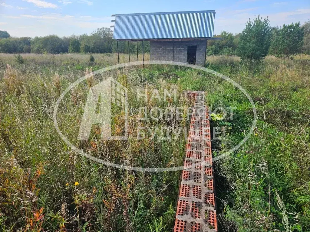 Дом в Пермский край, Чернушинский муниципальный округ, с. Брод ул. ... - Фото 2