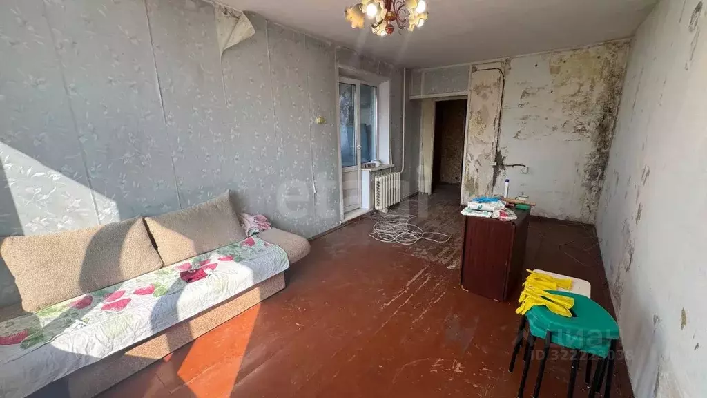 Студия Кемеровская область, Кемерово просп. Ленина, 135 (22.5 м) - Фото 2