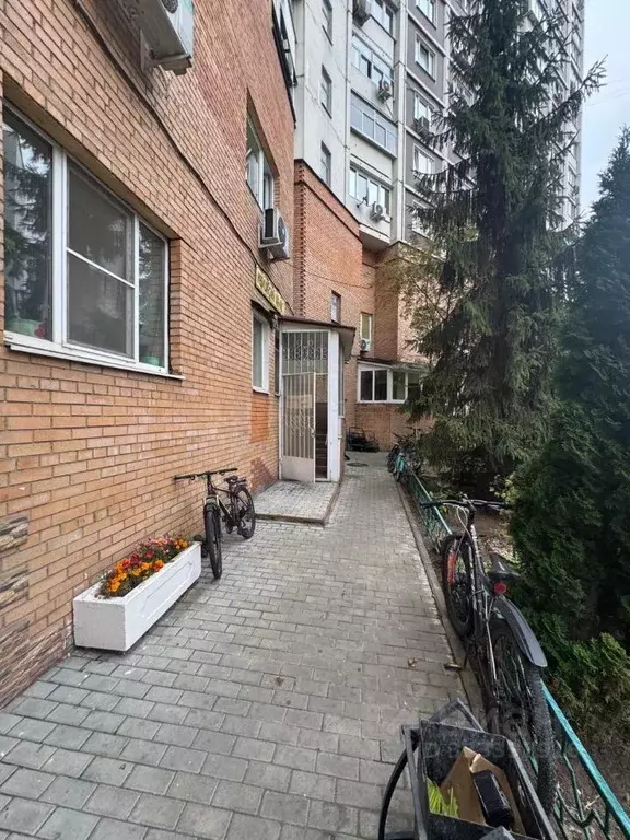 Помещение свободного назначения в Москва Братиславская ул., 22 (44 м) - Фото 1
