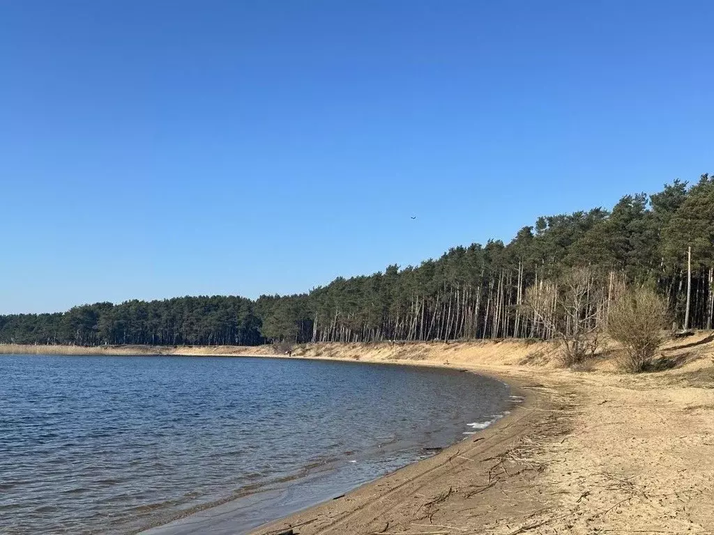Дом в Калининградская область, Калининград Мечта СНТ, проезд 7-й (62 ... - Фото 2