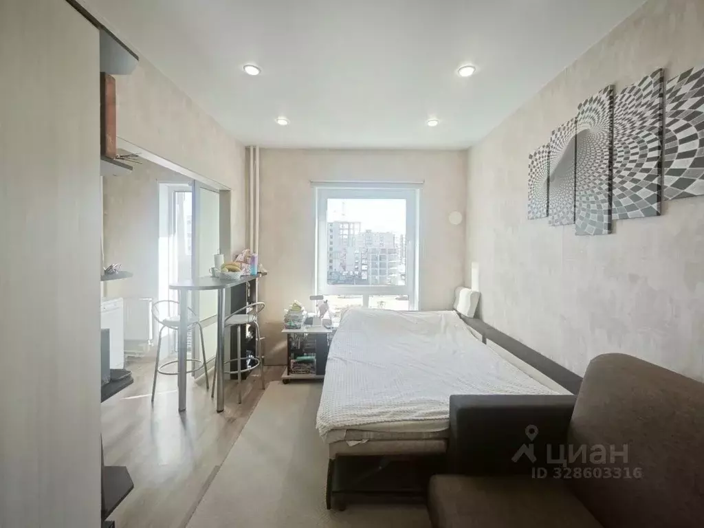 Студия Псковская область, Псковский район, Завеличенская волость, д. ... - Фото 2